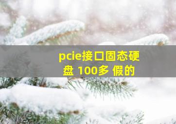 pcie接口固态硬盘 100多 假的